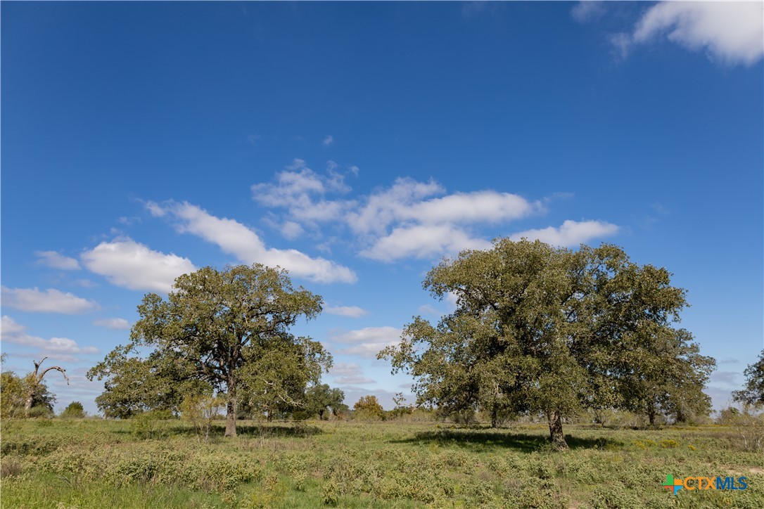 Tbd Lot 4 Zack Ln Property Photo 3