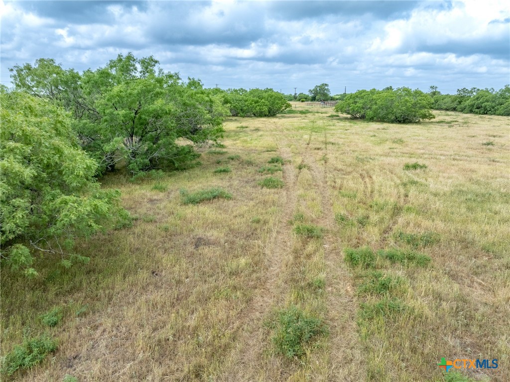 000 Fm 2091 South Property Photo 5