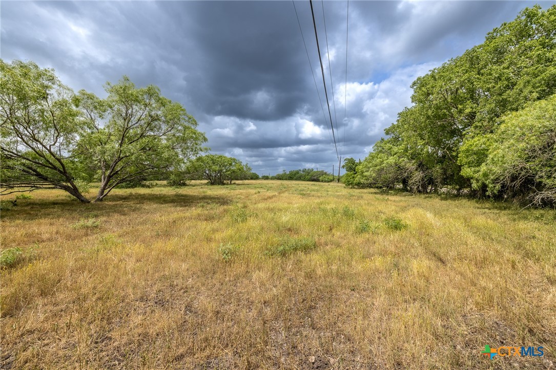 000 Fm 2091 South Property Photo 6