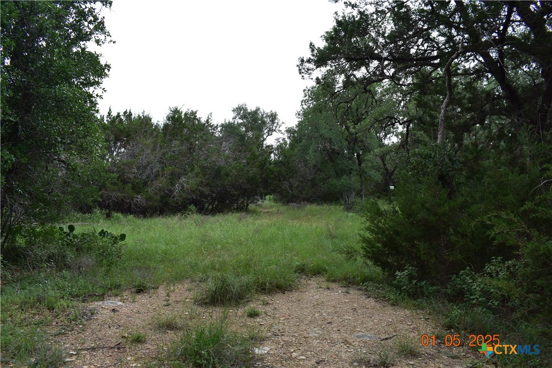 2315 Haven Bluff Court Property Photo