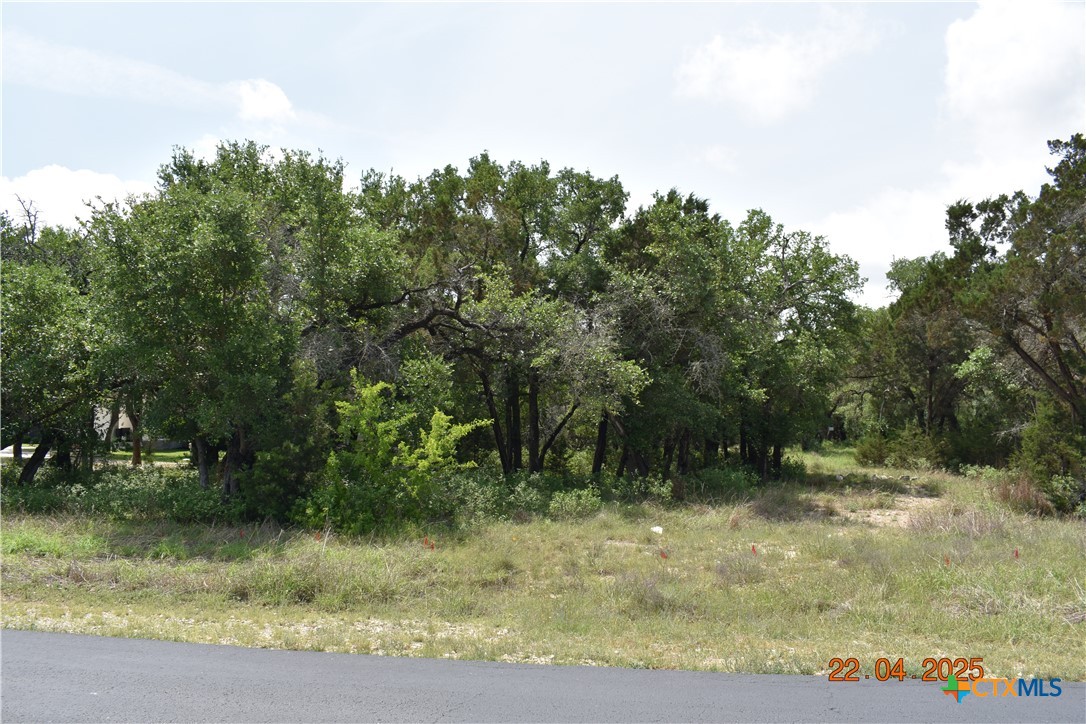 2315 Haven Bluff Court Property Photo 2