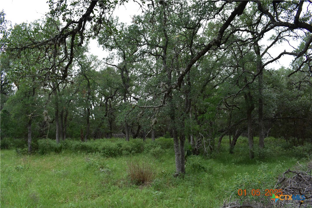 2315 Haven Bluff Court Property Photo 3