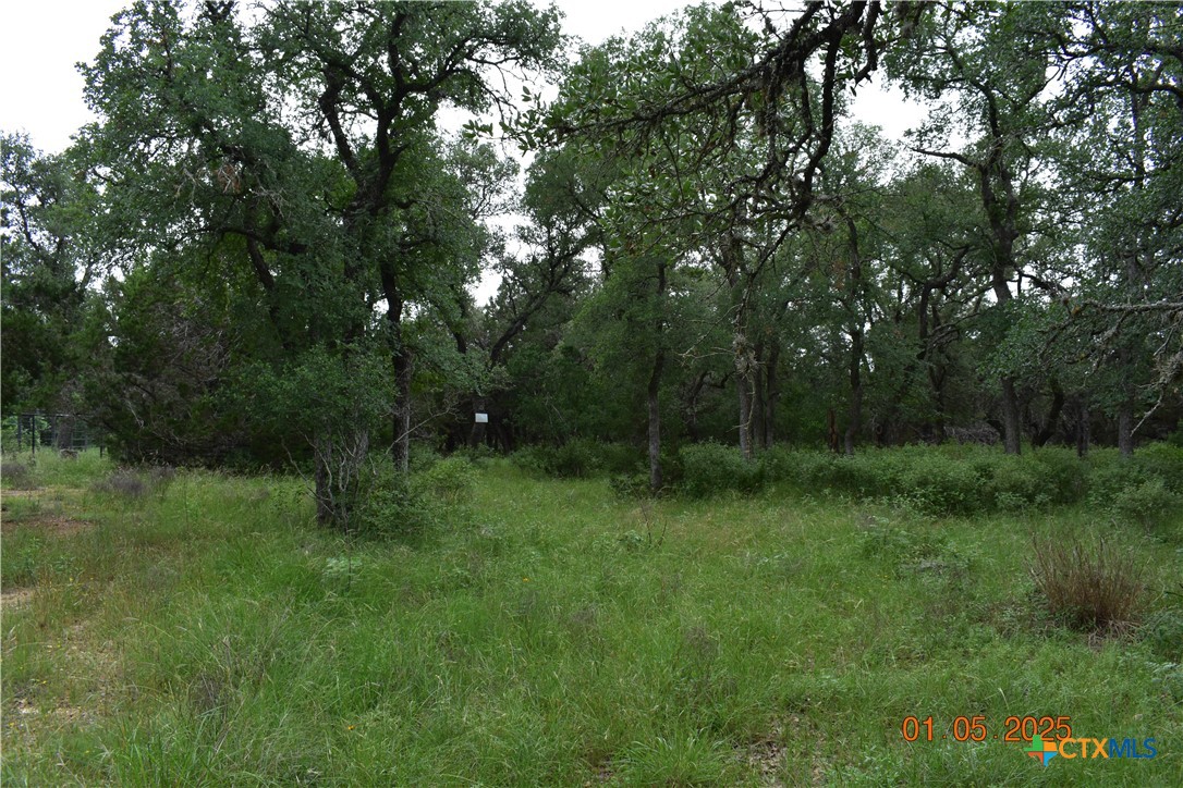 2315 Haven Bluff Court Property Photo 4
