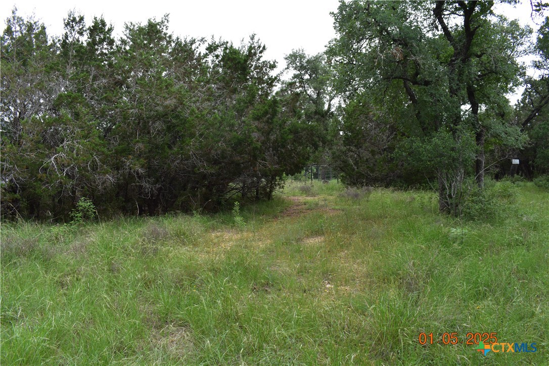 2315 Haven Bluff Court Property Photo 5