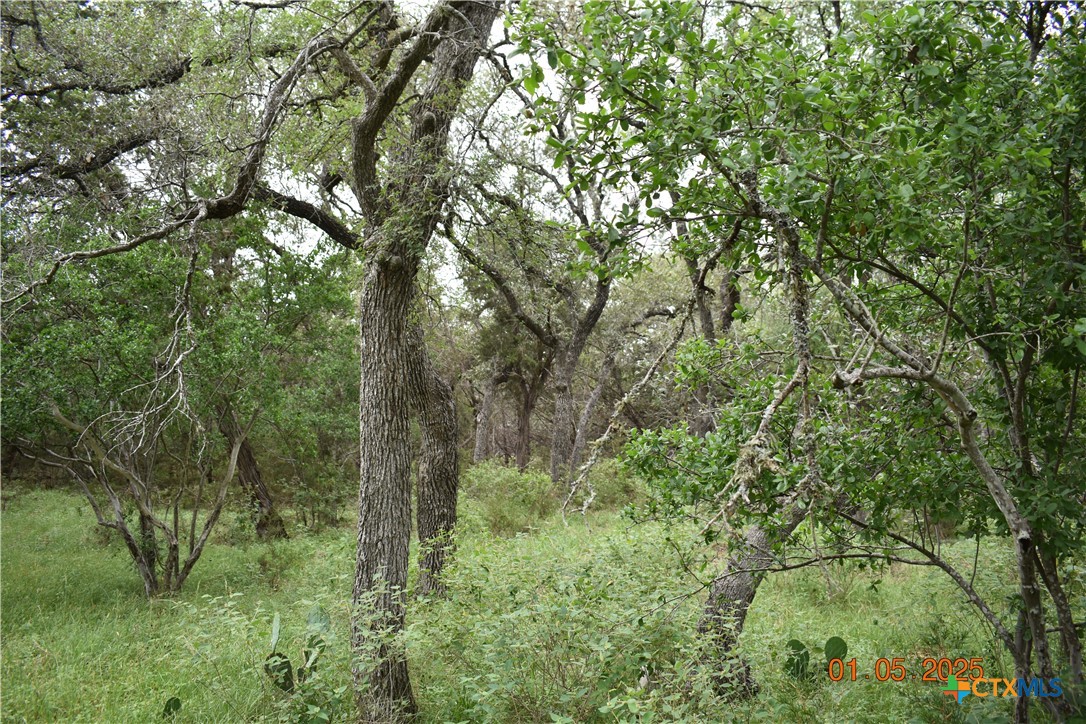 2315 Haven Bluff Court Property Photo 6