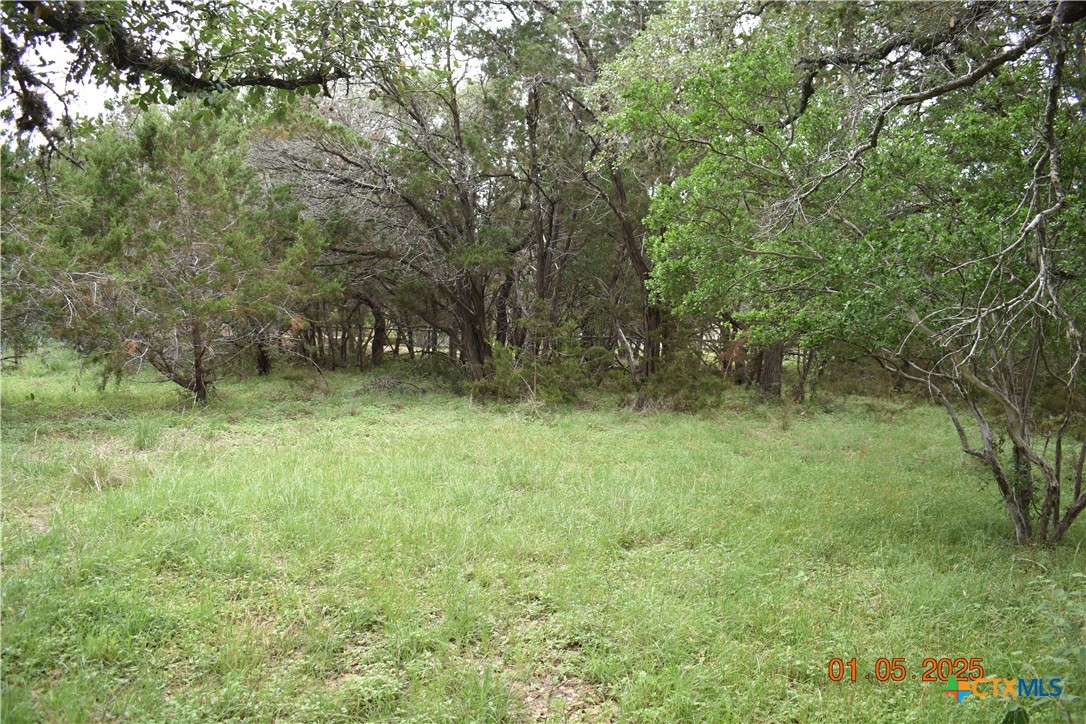 2315 Haven Bluff Court Property Photo 7
