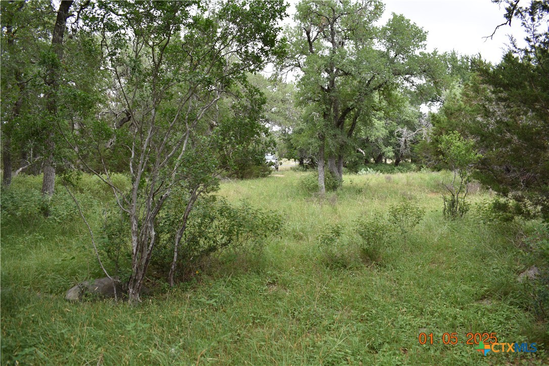 2315 Haven Bluff Court Property Photo 8