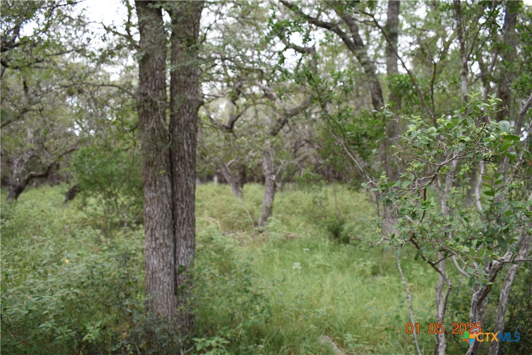 2315 Haven Bluff Court Property Photo 9