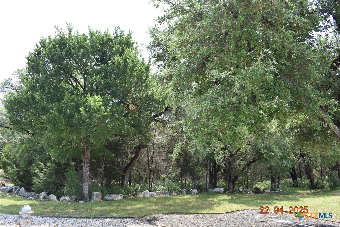 2315 Haven Bluff Court Property Photo 11