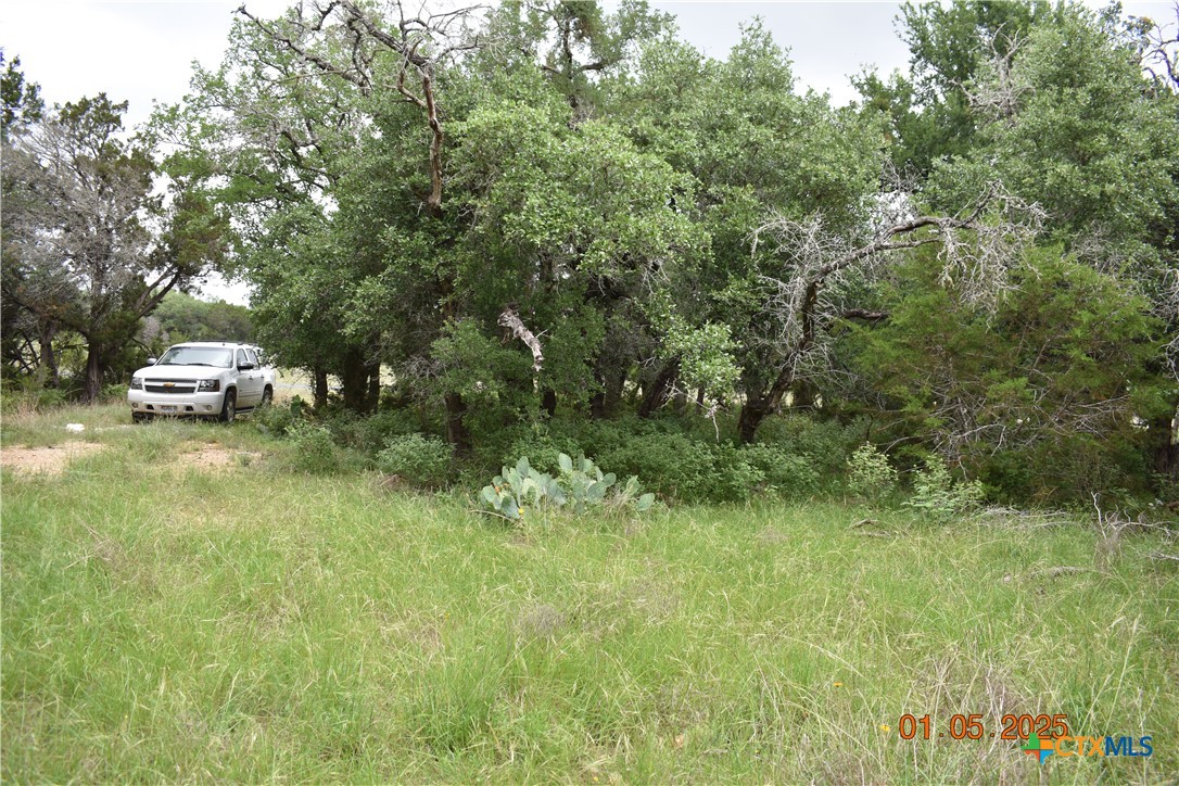 2315 Haven Bluff Court Property Photo 12