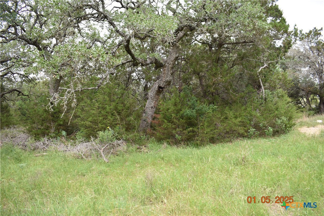 2315 Haven Bluff Court Property Photo 13