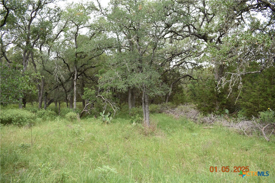 2315 Haven Bluff Court Property Photo 14