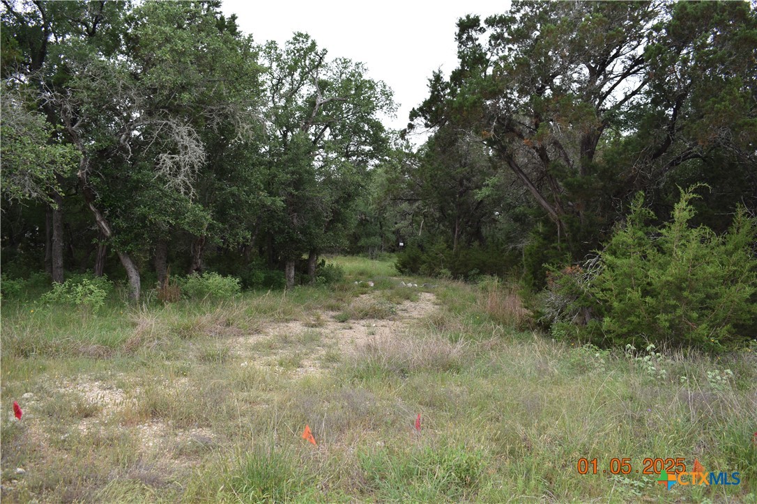 2315 Haven Bluff Court Property Photo 15