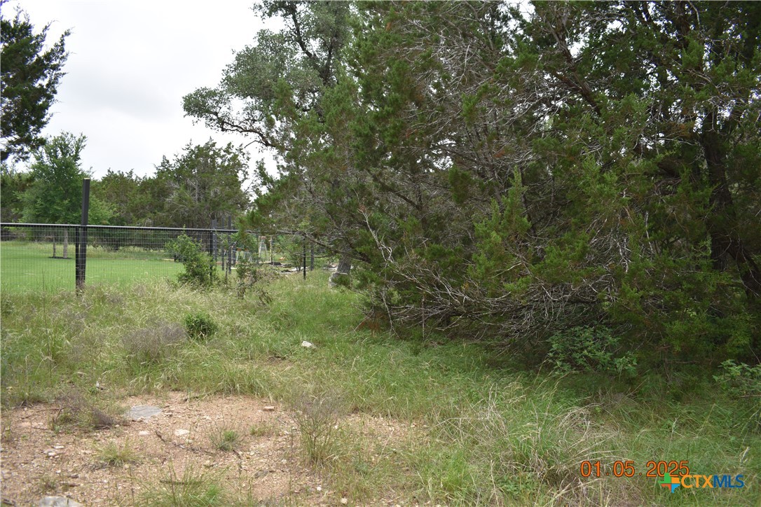 2315 Haven Bluff Court Property Photo 16