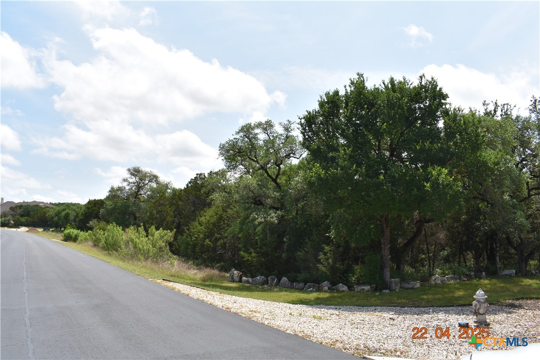 2315 Haven Bluff Court Property Photo 17