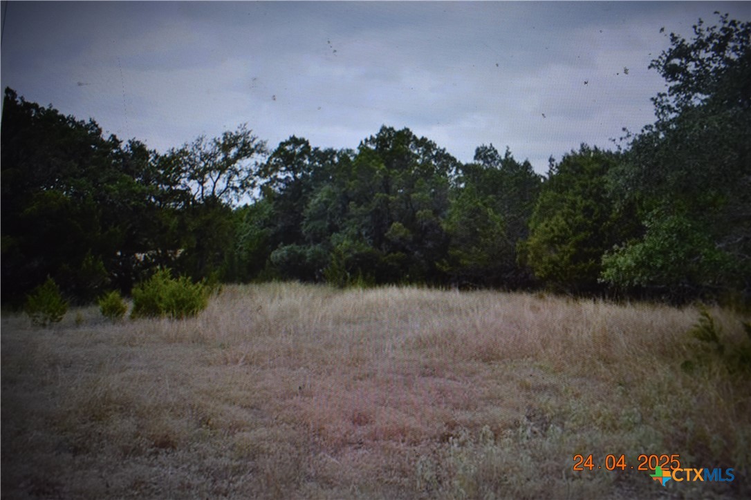 2315 Haven Bluff Court Property Photo 18