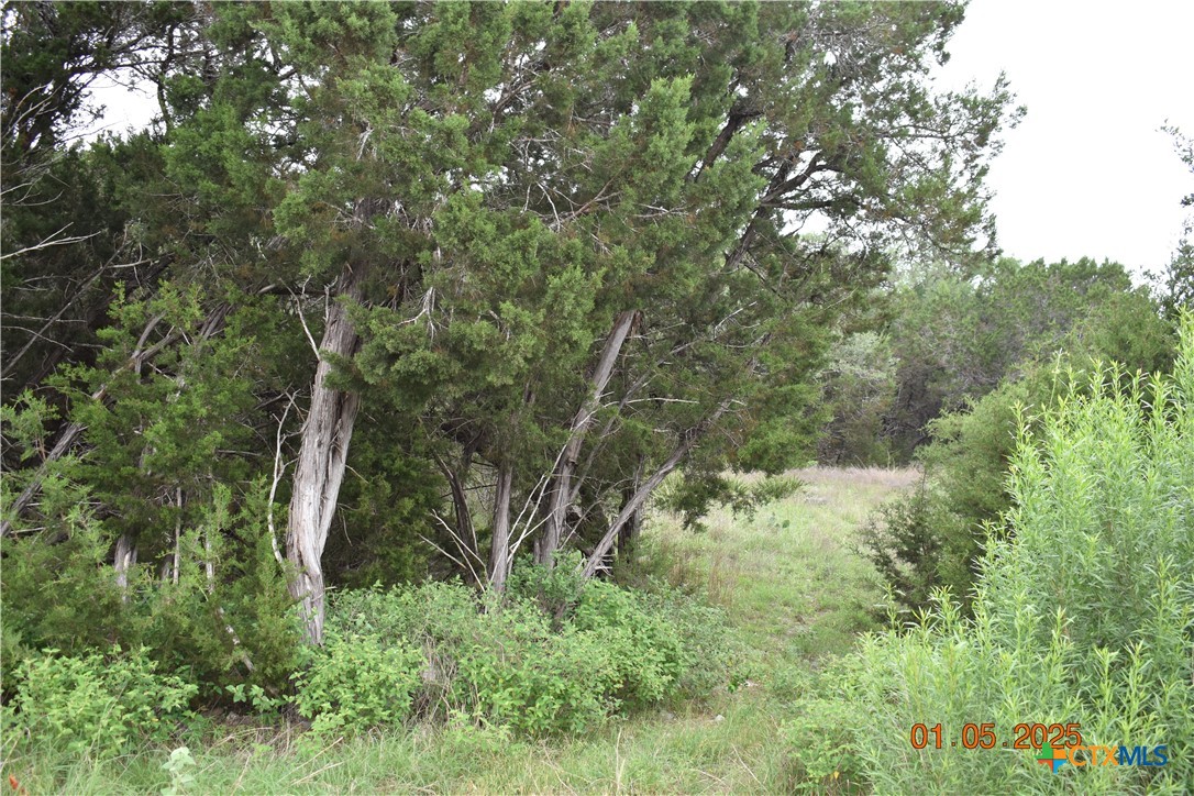 2315 Haven Bluff Court Property Photo 21
