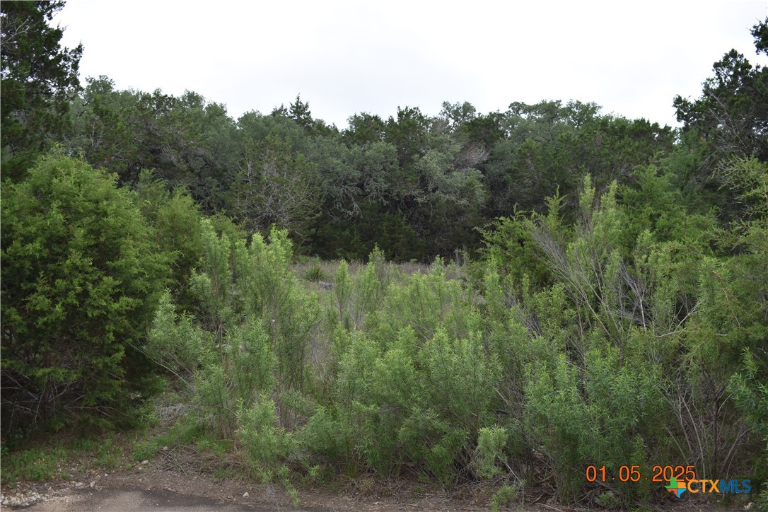 2315 Haven Bluff Court Property Photo 22