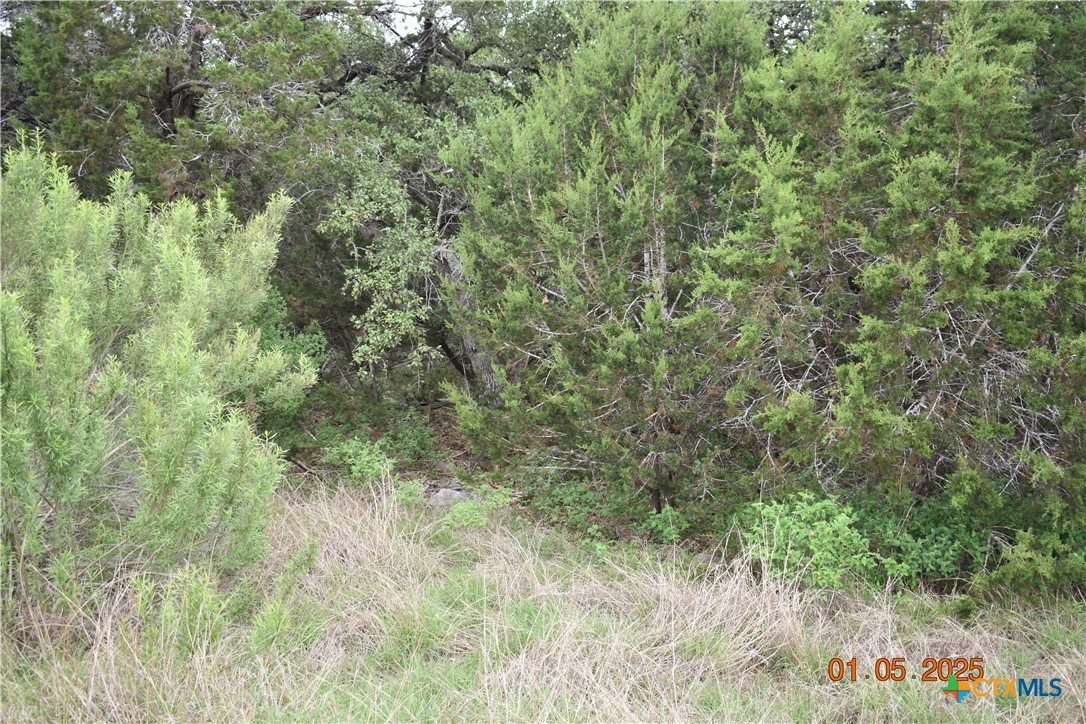 2315 Haven Bluff Court Property Photo 23