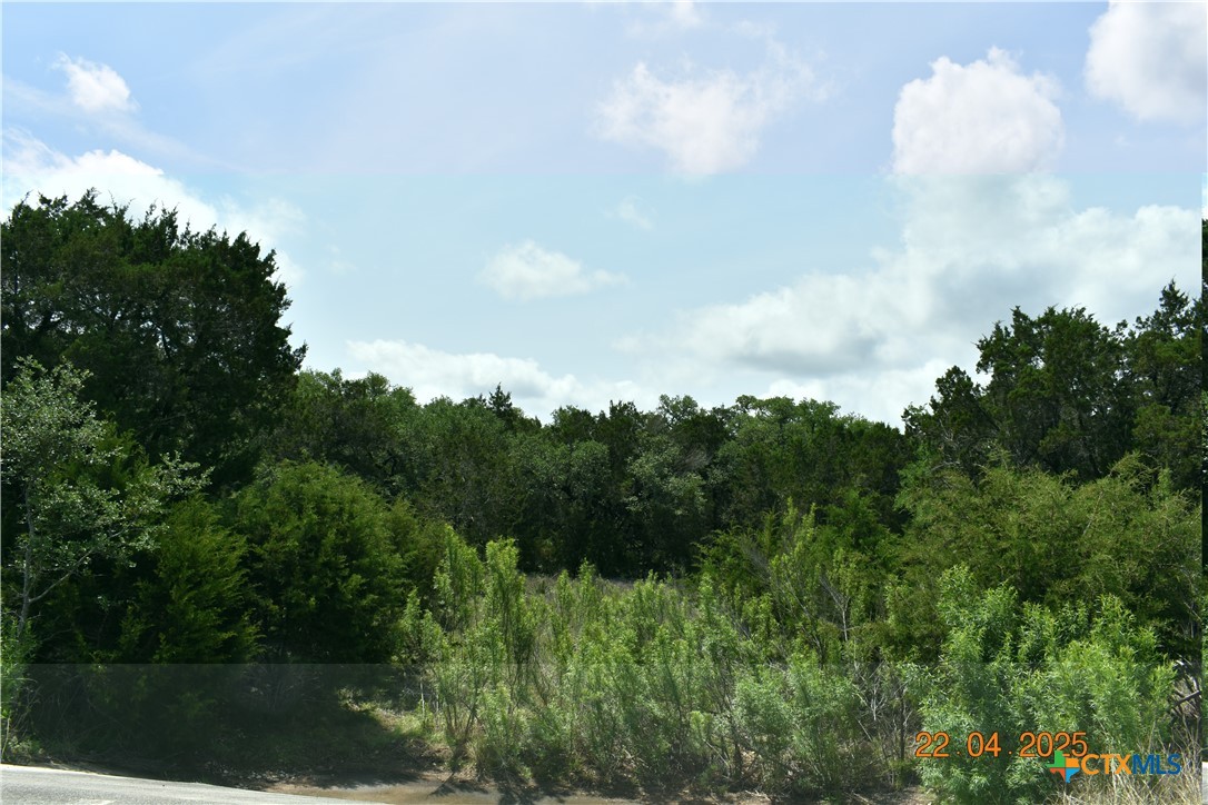 2315 Haven Bluff Court Property Photo 25