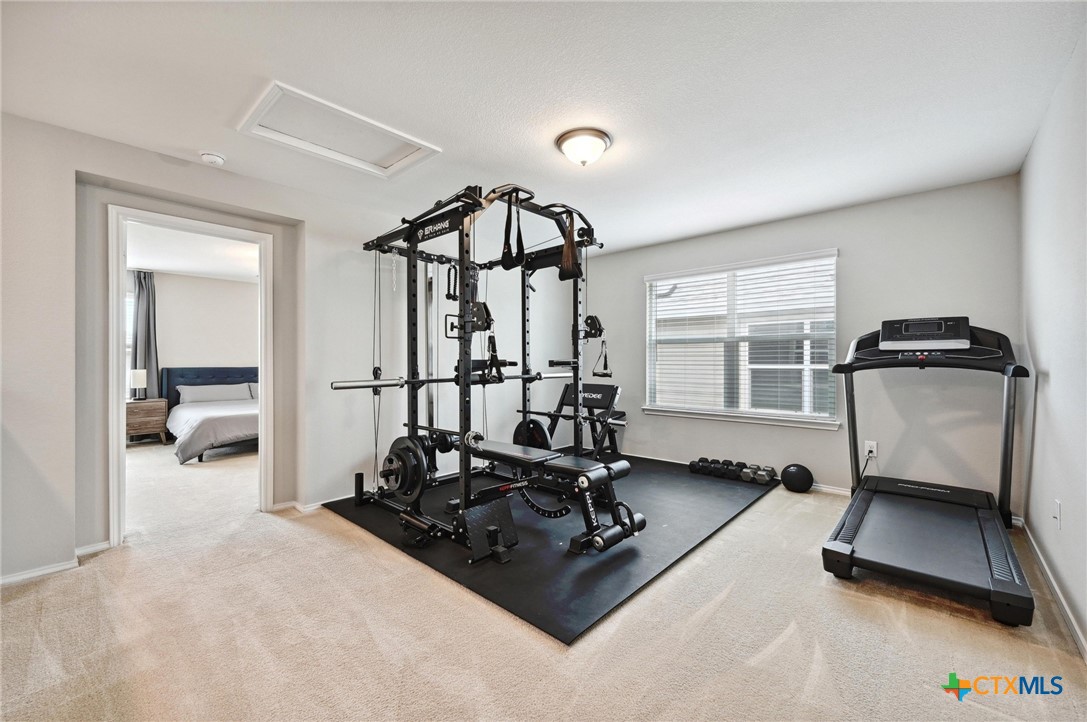 6309 Carriage Pines Drive Property Photo 18