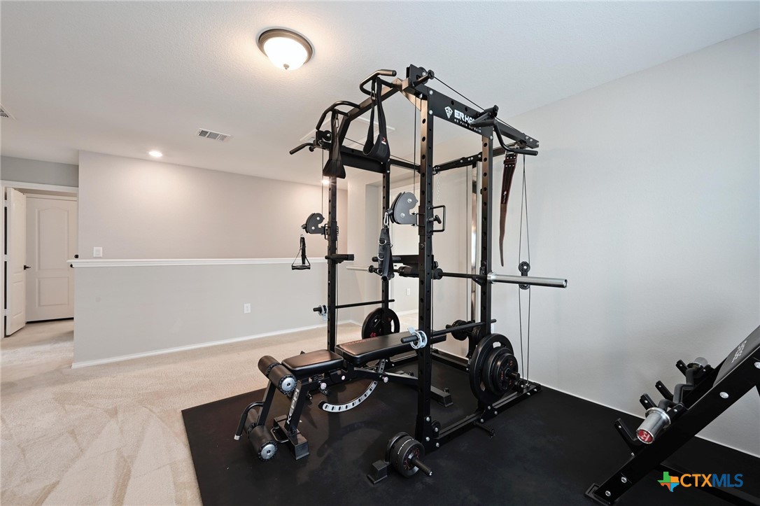 6309 Carriage Pines Drive Property Photo 19