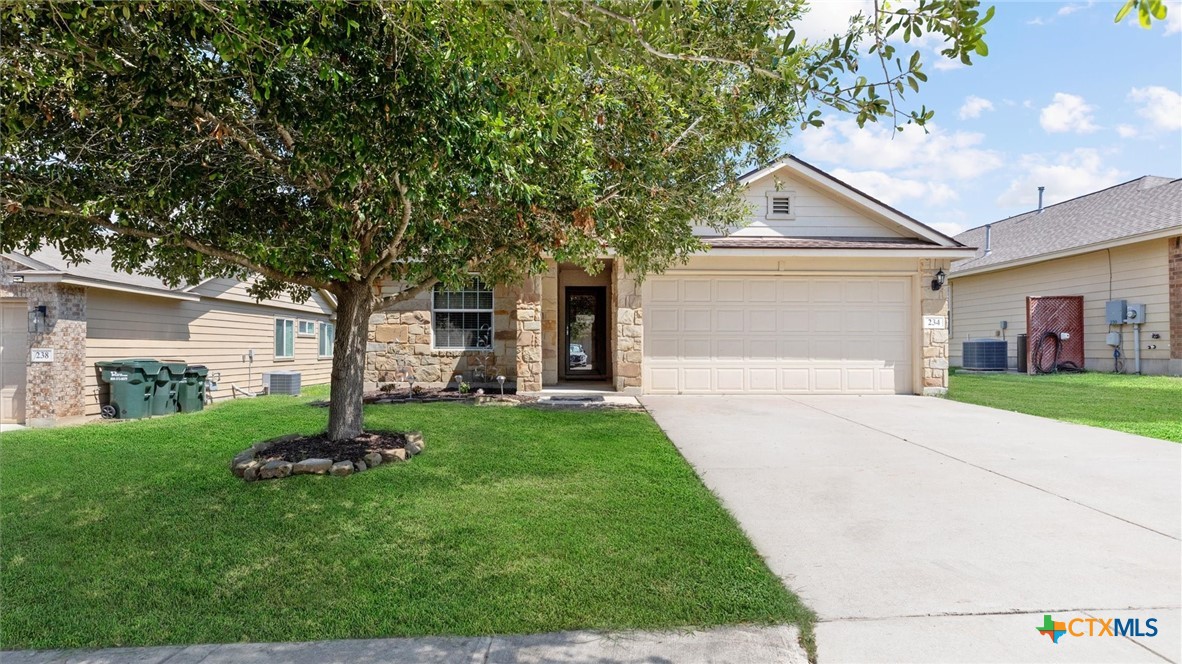 234 Wild Plum Property Photo 1
