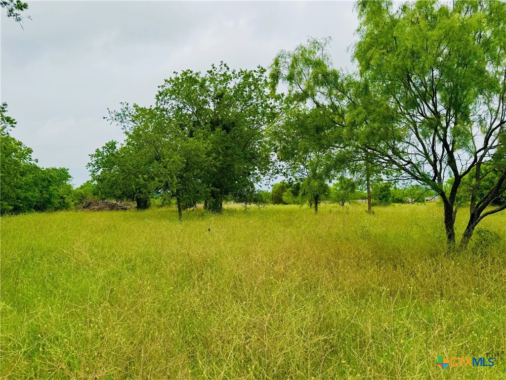 Lot 4 Old Pidcoke Property Photo 2