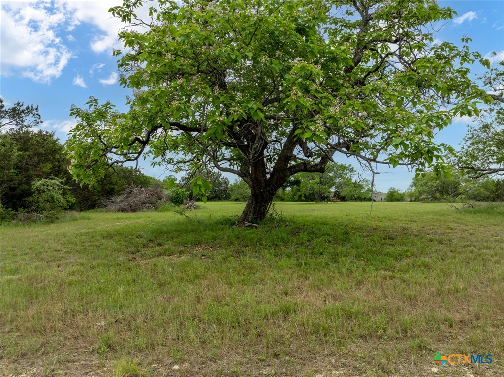 Lot 4 Old Pidcoke Property Photo 16
