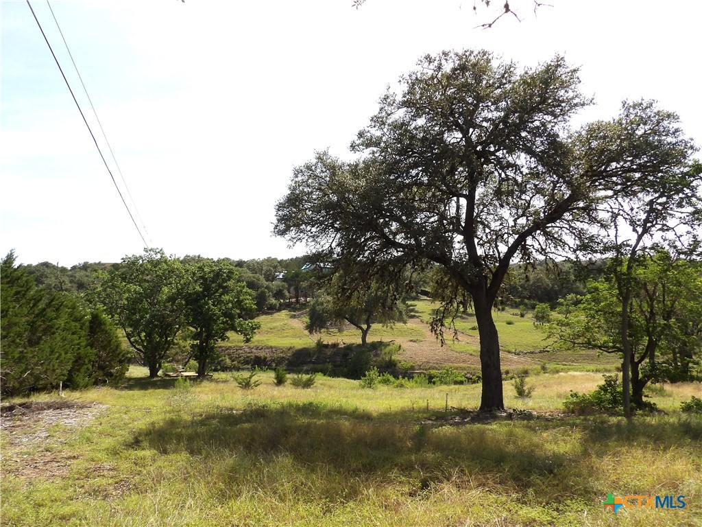 995 Five Oaks Circle Property Photo 9