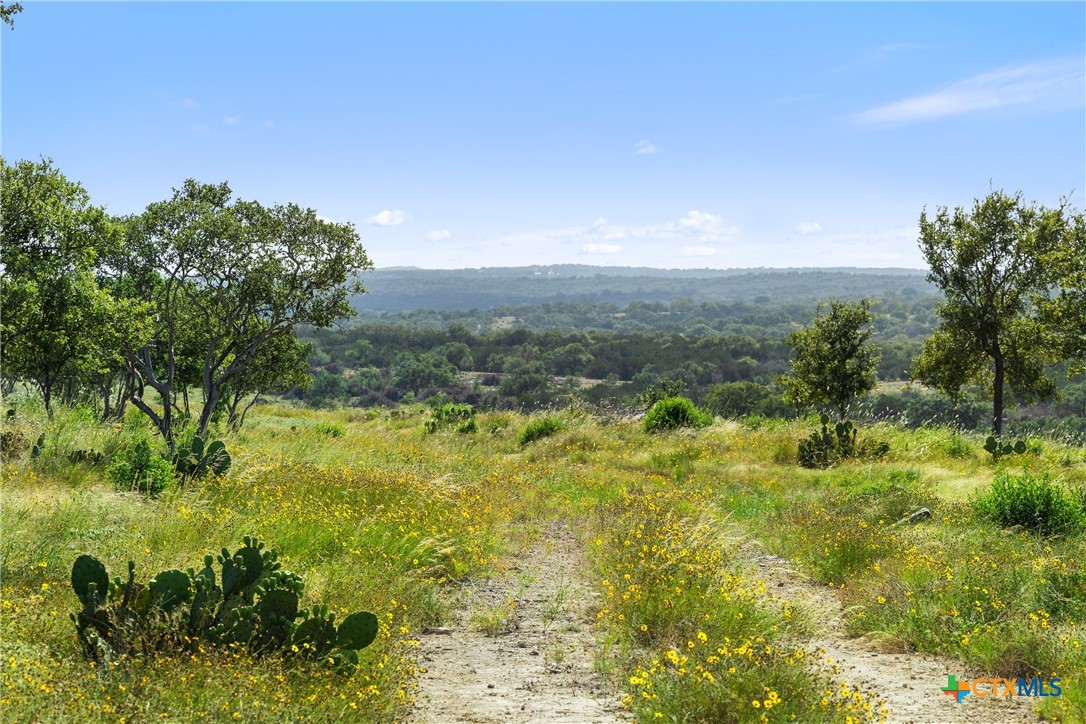 578 Gipson Road Property Photo 13