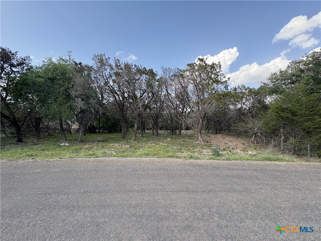 2303 Prickley Pear Road Property Photo 1