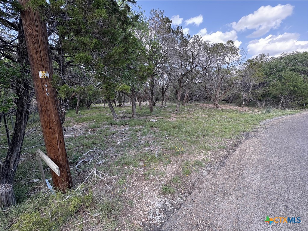 2303 Prickley Pear Road Property Photo 2