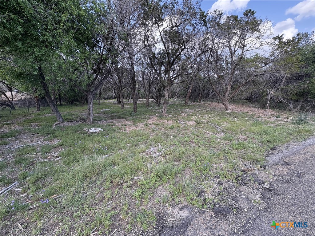 2303 Prickley Pear Road Property Photo 4