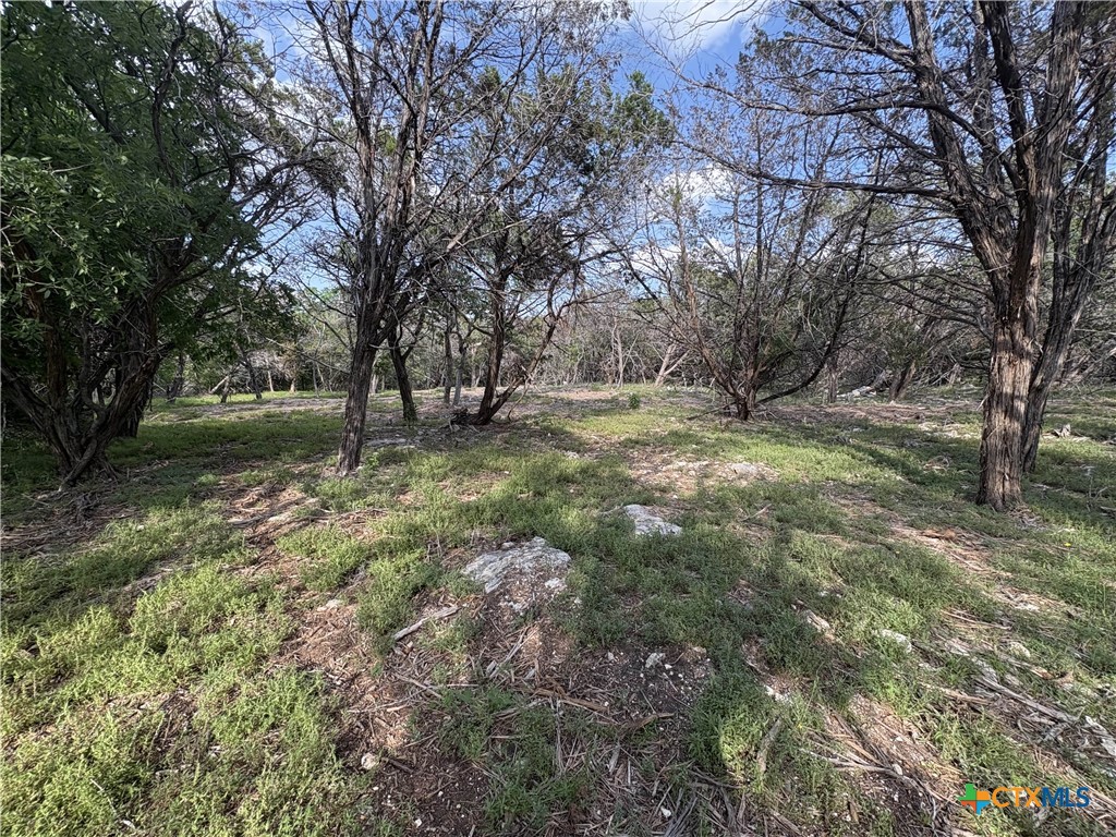 2303 Prickley Pear Road Property Photo 5