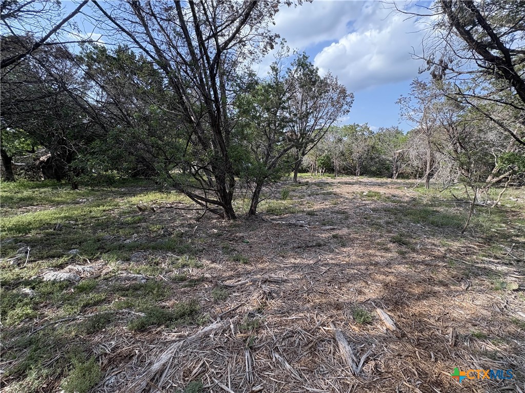 2303 Prickley Pear Road Property Photo 6