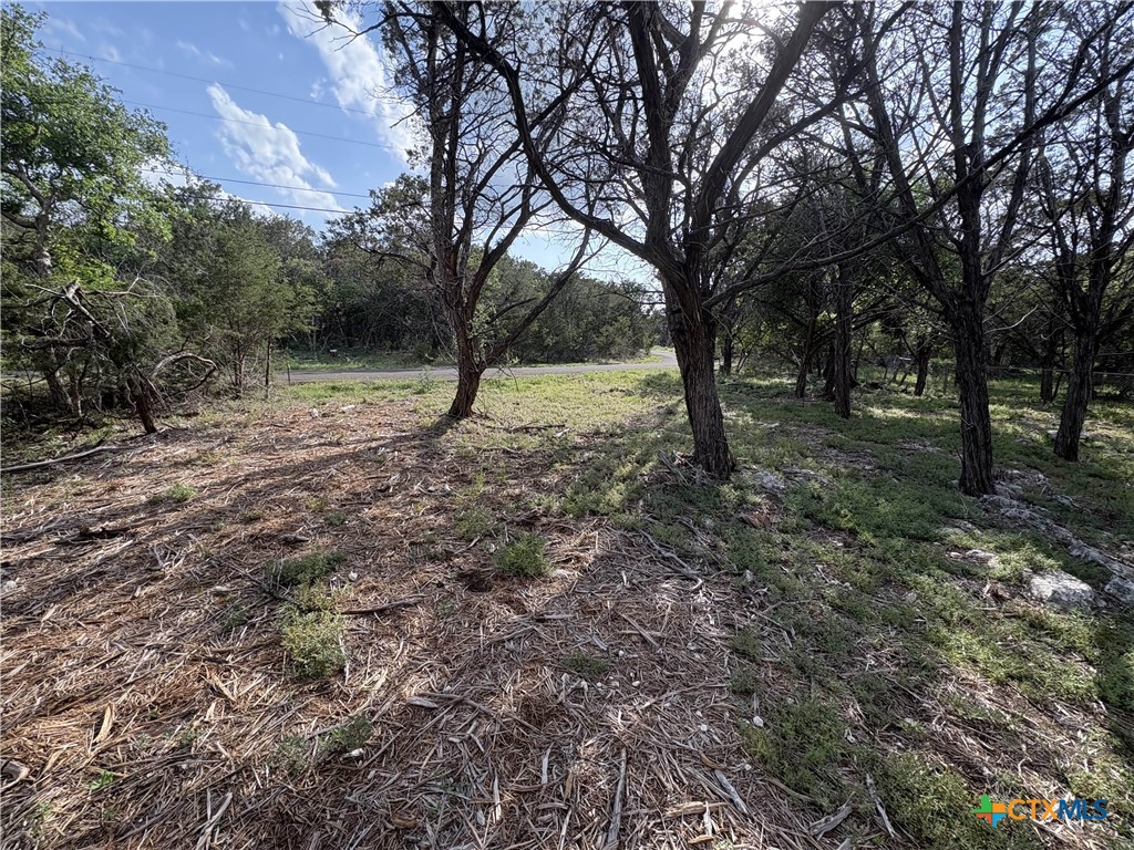 2303 Prickley Pear Road Property Photo 7