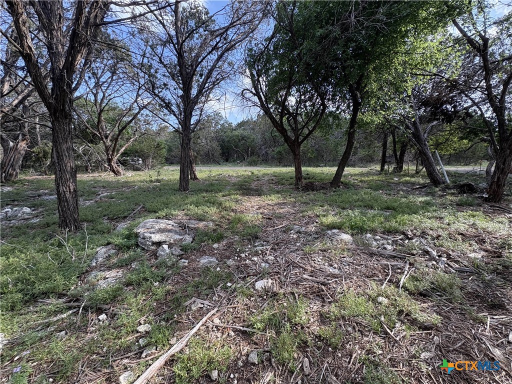 2303 Prickley Pear Road Property Photo 9
