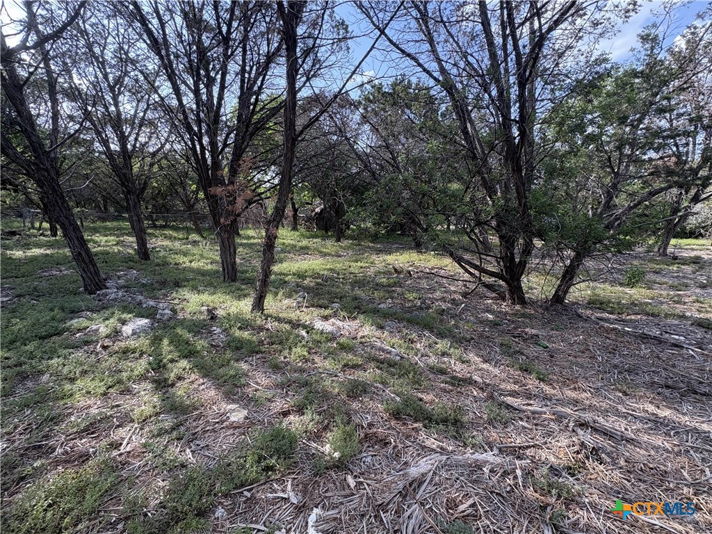 2303 Prickley Pear Road Property Photo 10