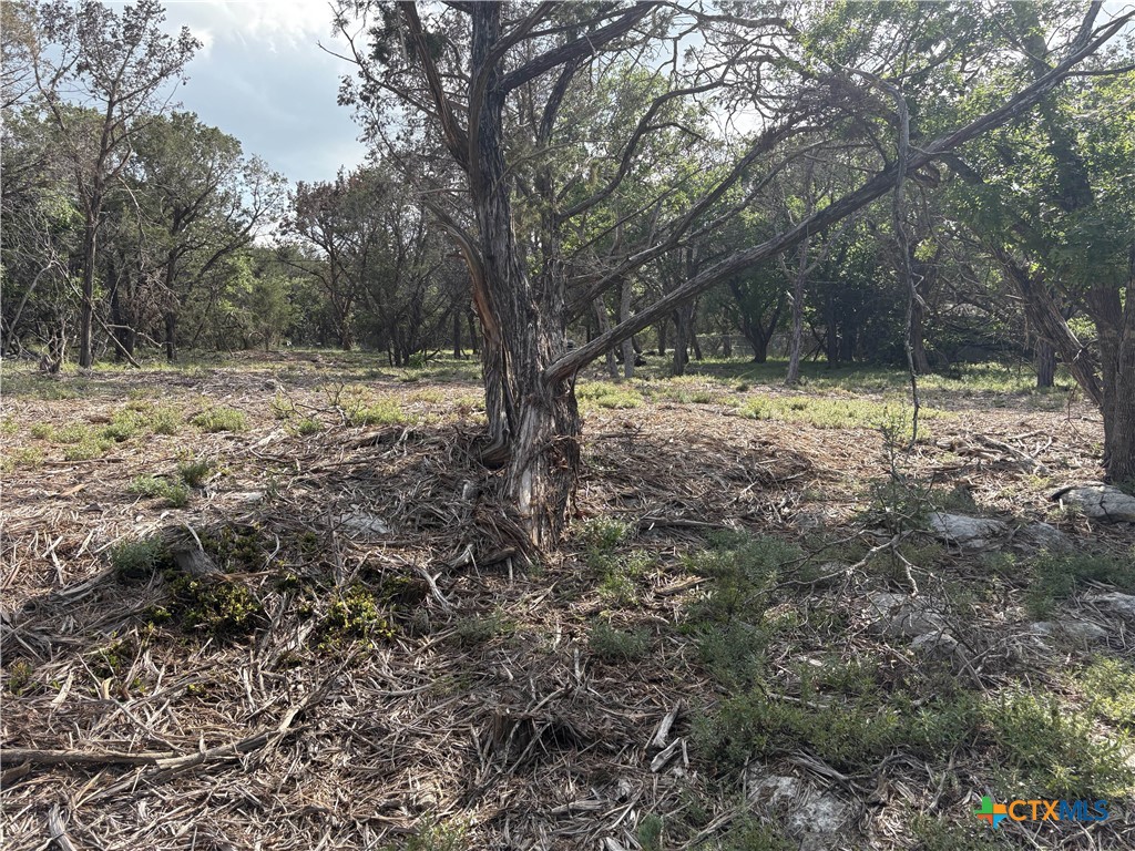 2303 Prickley Pear Road Property Photo 11