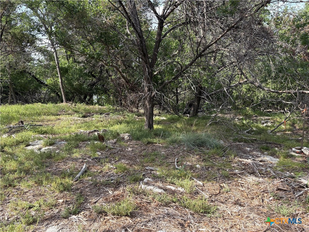 2303 Prickley Pear Road Property Photo 12