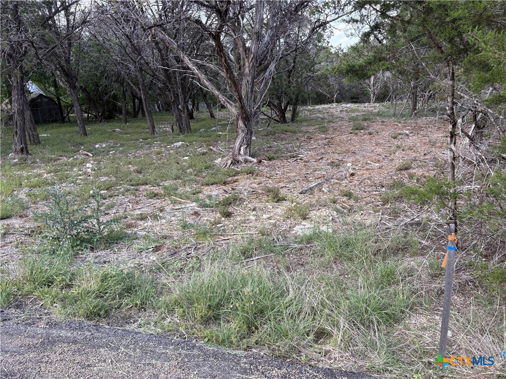 2303 Prickley Pear Road Property Photo 13