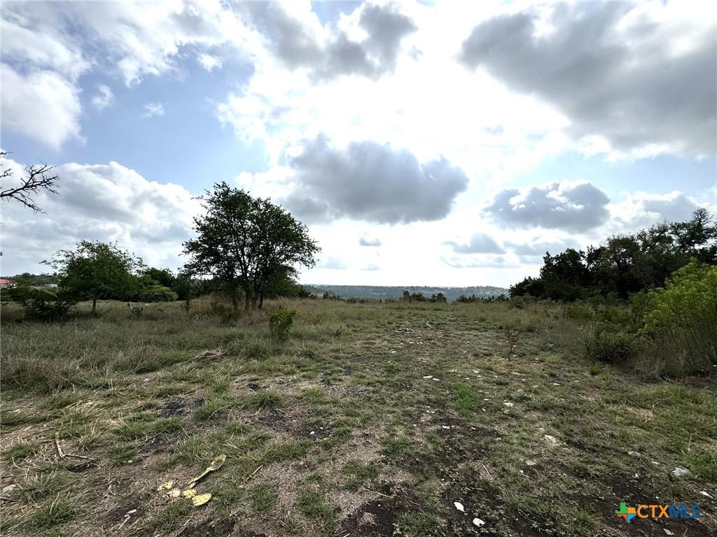 1282 Balcones Drive Property Photo 1