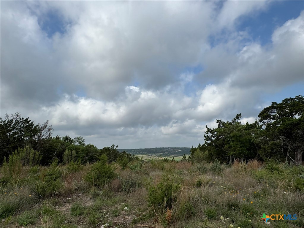 1282 Balcones Drive Property Photo 2