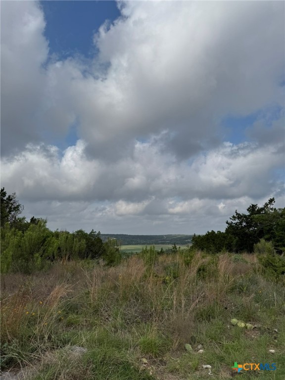 1282 Balcones Drive Property Photo 4