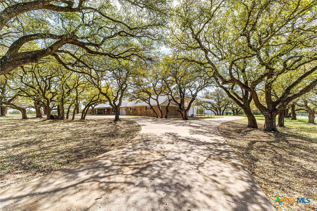 13755 N Lone Star Parkway Property Photo 5