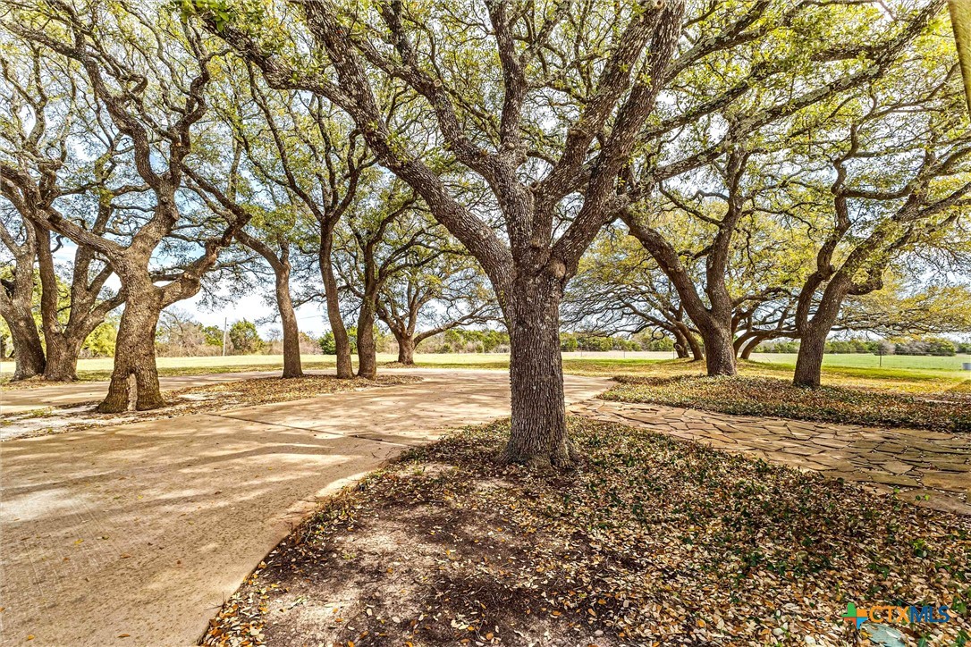 13755 N Lone Star Parkway Property Photo 8
