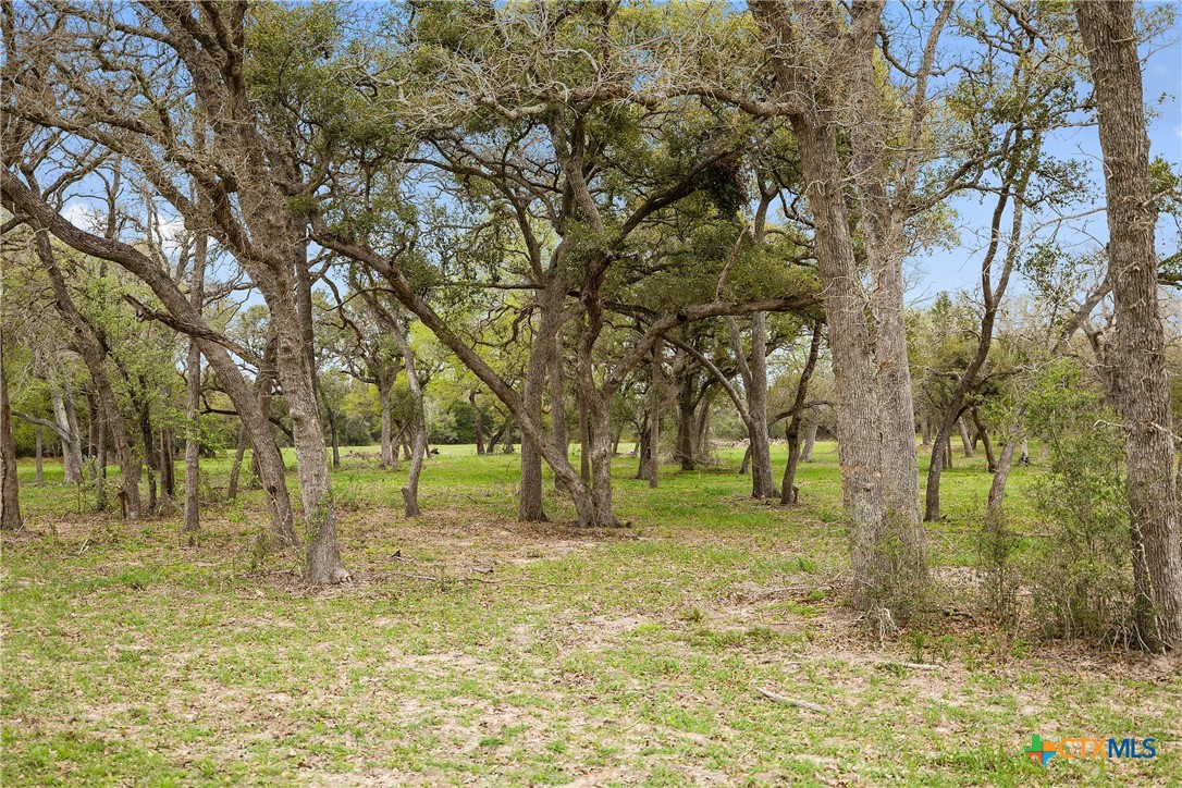 778 County Road 123 Property Photo 6