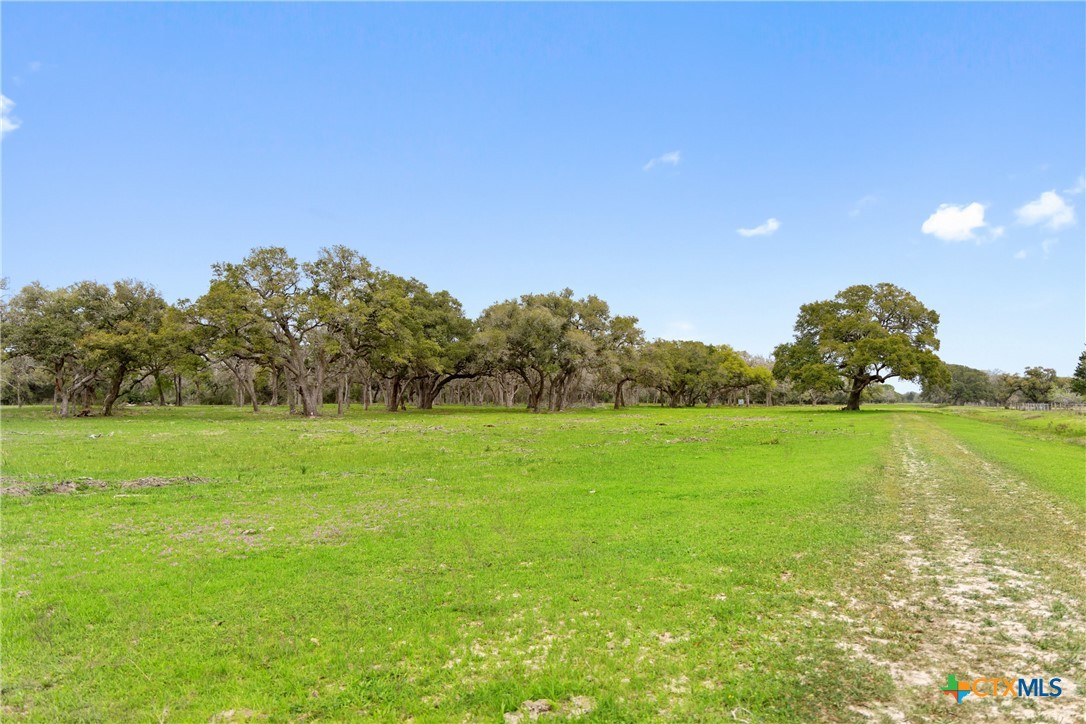 778 County Road 123 Property Photo 11