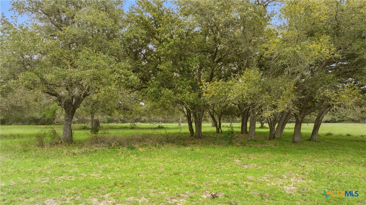 778 County Road 123 Property Photo 38